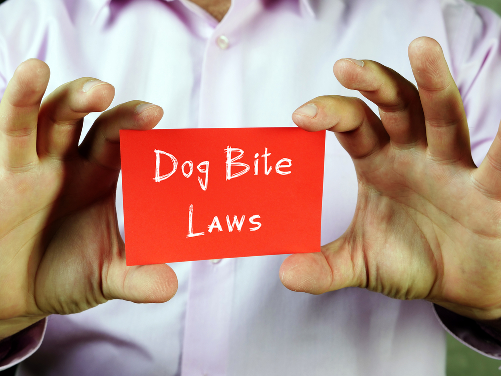 Conceptual photo about Dog Bite Laws with handwritten phrase.