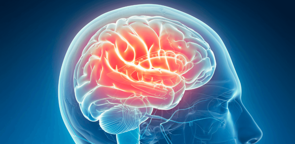 3D illustration of a human brain with highlighted red areas, suggesting brain activity or inflammation