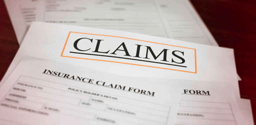 Car Insurance Coverage and Claim Options