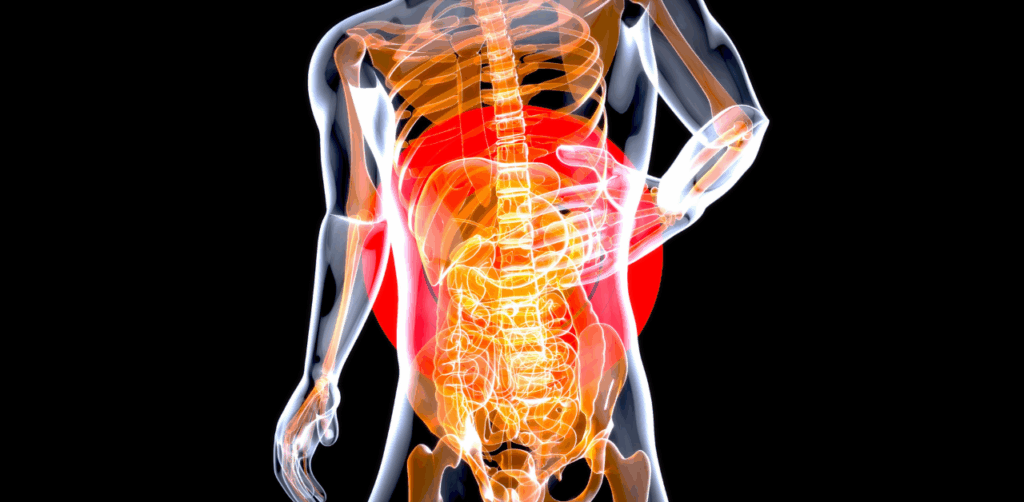 Internal Organ Damage and Internal Bleeding